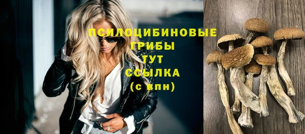ECSTASY Михайлов