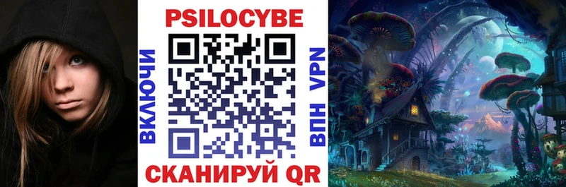 Псилоцибиновые грибы Psilocybine cubensis Челябинск